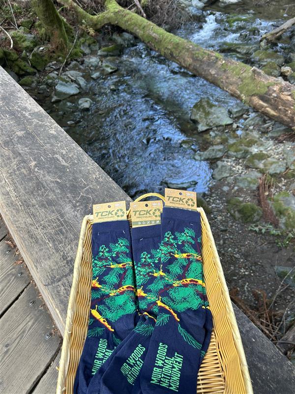 Tree Band Slugs Tree Slug Sock – Muir Woods Trading Company